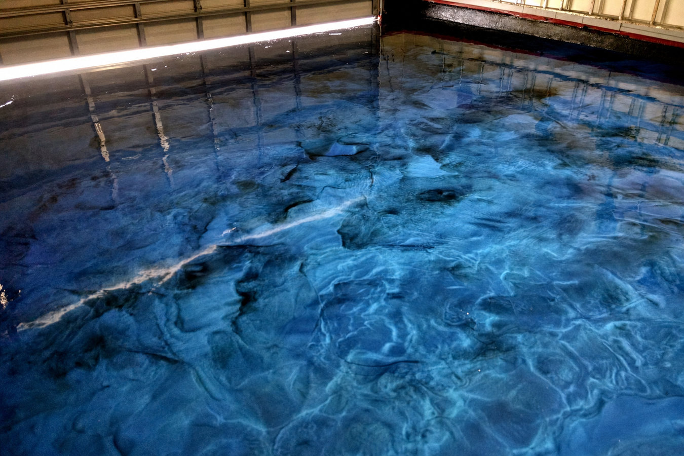 Stained Concrete Flooring in Sunrise, FL